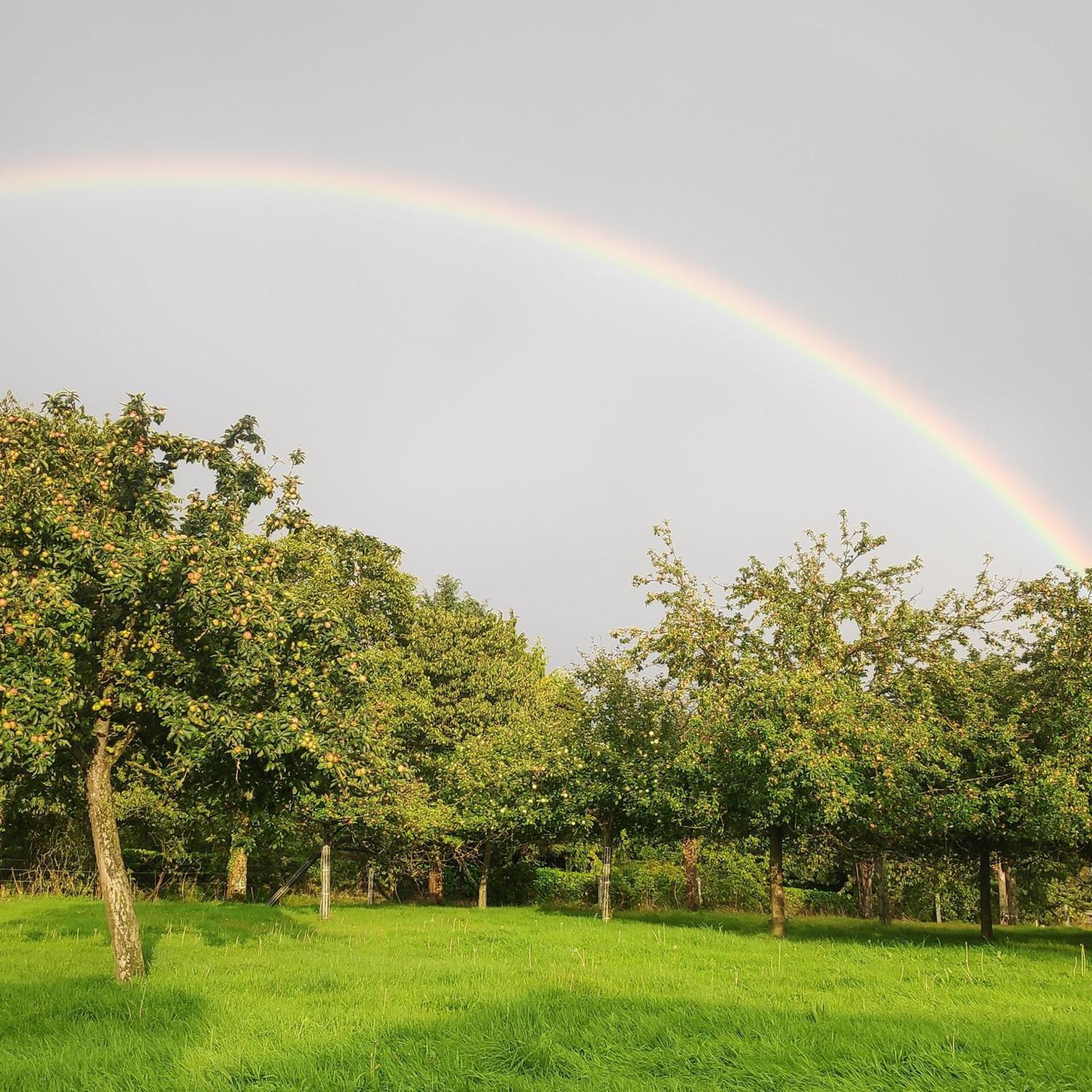 Ferme De La Gortiere Bed & Breakfast Le Teilleul ภายนอก รูปภาพ